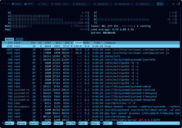 The image displays a terminal window showing system resource usage and processes running on a Linux server.