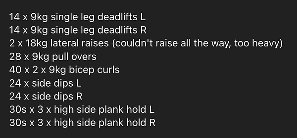 A workout plan detailing various exercises and repetitions for a home gym session.