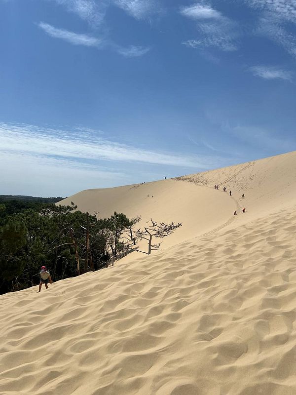 A sandy dune landscape with people exploring the area under a clear blue sky.