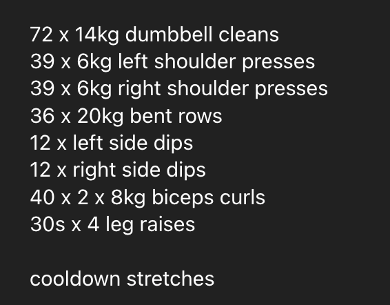 A workout plan for a home gym session is displayed on a dark background.