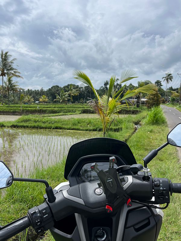 A scenic view of rice fields in Ubud, seen from the handlebars of a motorcycle.