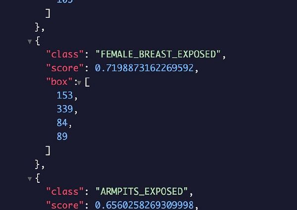 Screenshot of a Discord chat discussing NSFW detection issues with xAI and NSFW API.