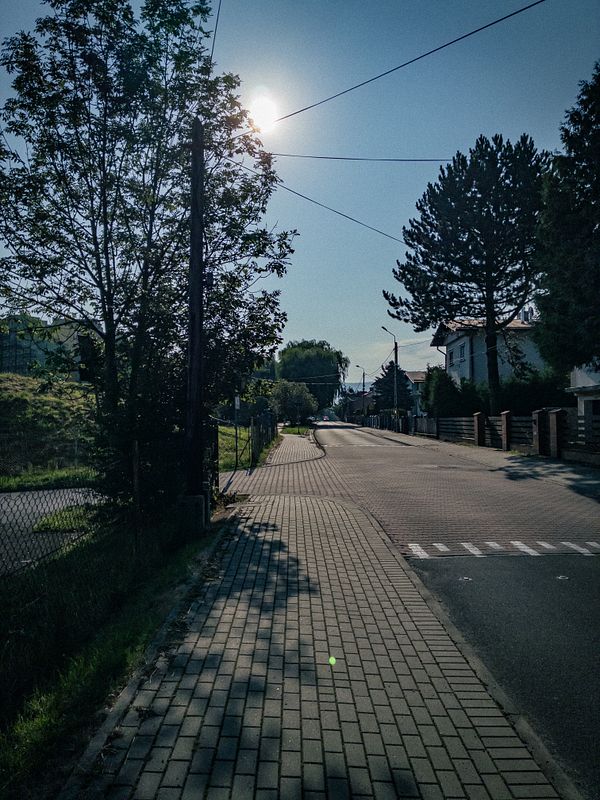 A serene pathway bordered by wooden fencing and dense green trees during a calm morning.
