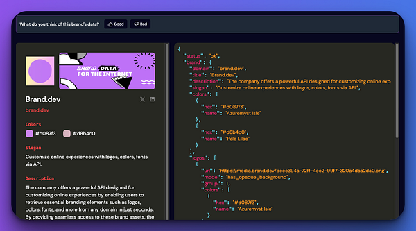 The image displays a user interface for a brand data management tool, showcasing details about 'Brand.dev'.