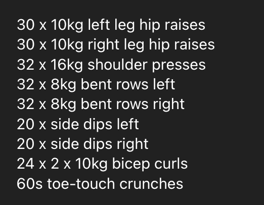 A workout plan for a home gym session is displayed in a list format.