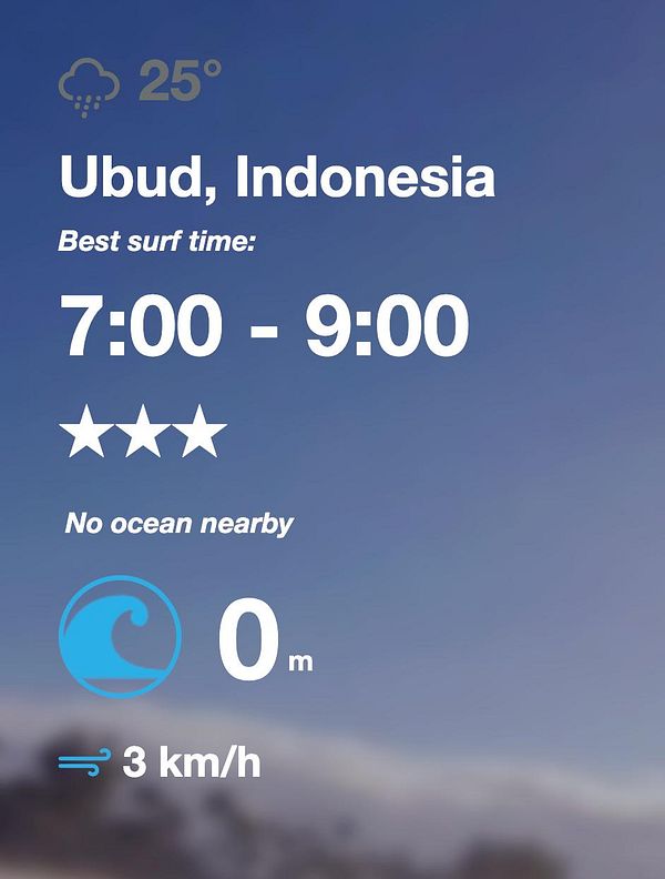 A digital graphic illustrating the concept of tide waves and the need to avoid fetching wave data for non-coastal locations.