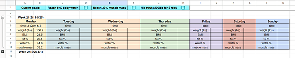 A spreadsheet tracking body composition measurements and fitness goals for two weeks.