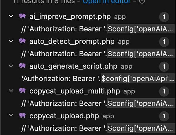 Code snippet showing a Python function to switch an API client from OpenAI to xAI with detailed comments.