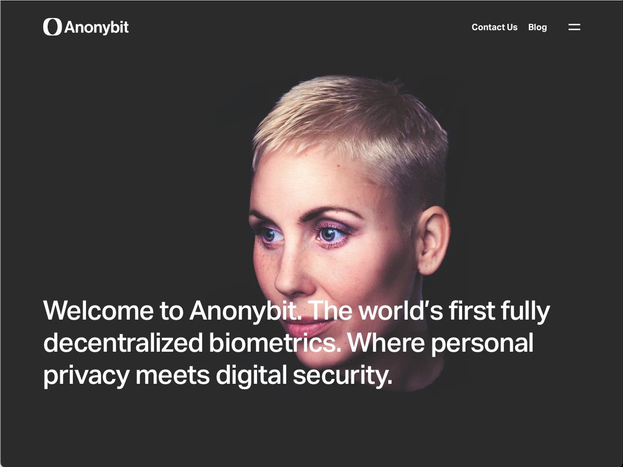 anonybit.io logo