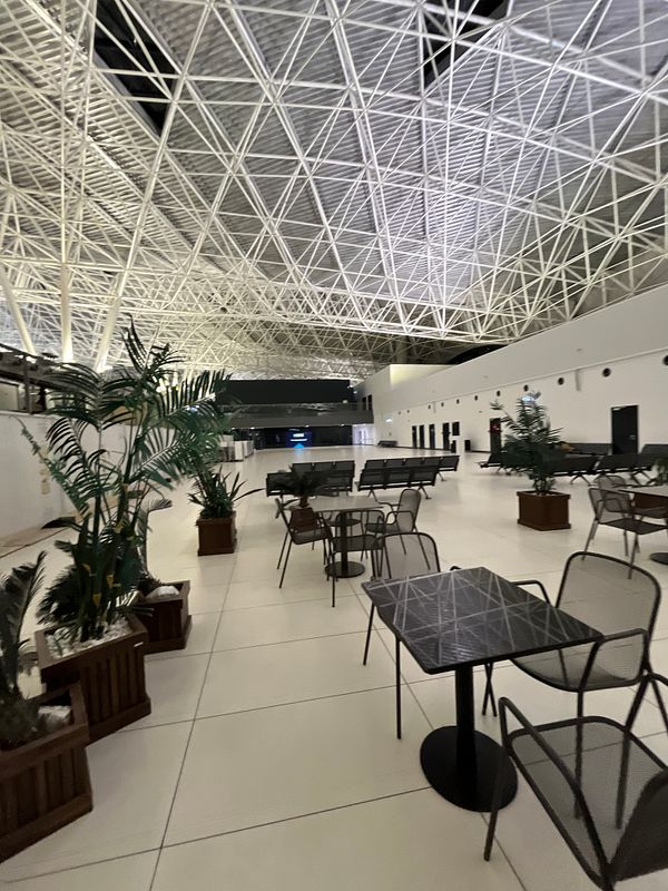 A spacious, modern airport terminal with minimal seating and decorative plants.
