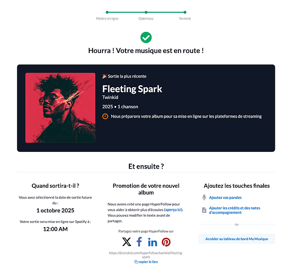 The image displays a music release scheduling interface for the song 'Fleeting Spark' by Twinkid.