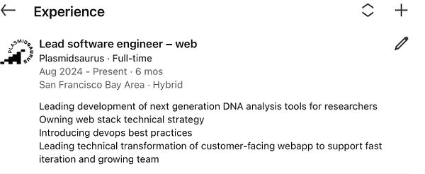 A LinkedIn experience section detailing a lead software engineer position.
