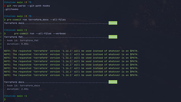 Terminal output showing the configuration and successful execution of pre-commit hooks for terraform-docs and terraform-fmt.