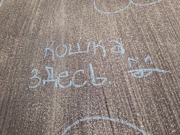 Chalk writing on a textured surface indicates a playful message about a cat.