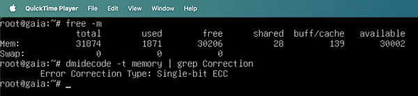 The image displays a terminal window showing memory usage and ECC RAM information on a home server.