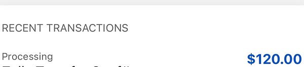 A screenshot of a recent transaction showing a payment of $120.00.