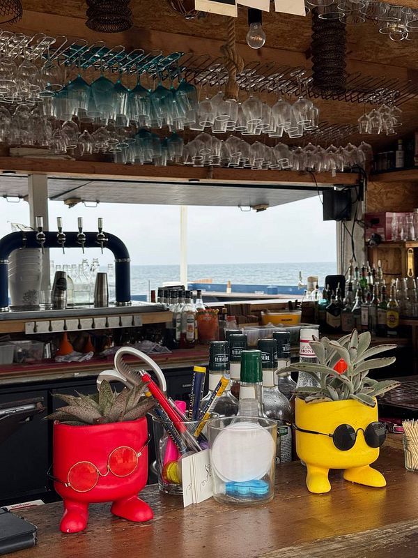 A bar counter with quirky plant pots wearing sunglasses, overlooking a sea view through an open window.