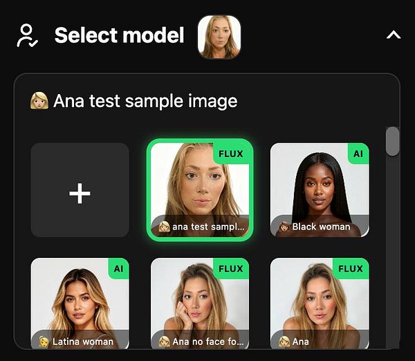 The image displays a model selection interface featuring various sample images for a model picker.