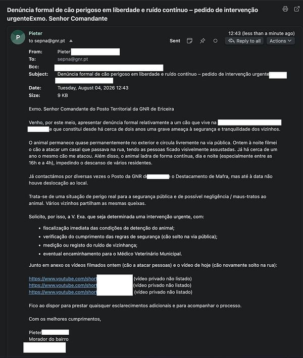 Screenshot of a WhatsApp chat showing a conversation about a dog incident with a video attachment and a specific date and time.