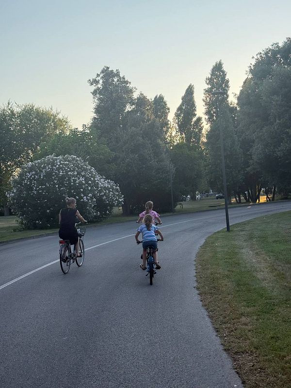 A group of three cyclists, including an adult and two children, ride along a winding road surrounded by greenery.