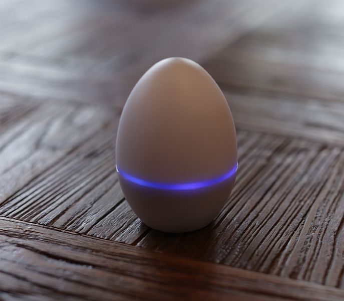 Smart Egg