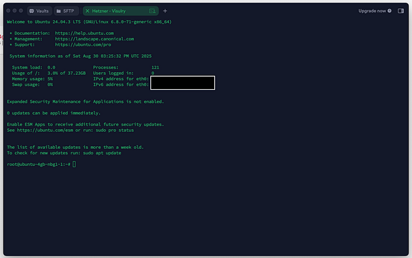 The image displays a terminal interface showing system information for an Ubuntu VPS.