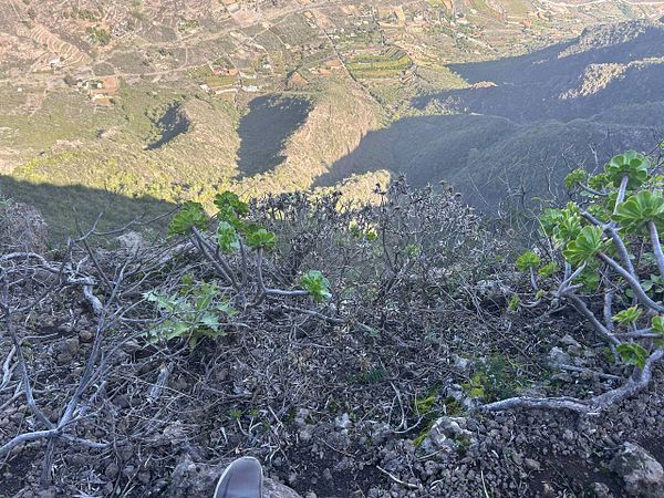 A steep, rocky cliffside view overlooking a lush valley and agricultural land.
