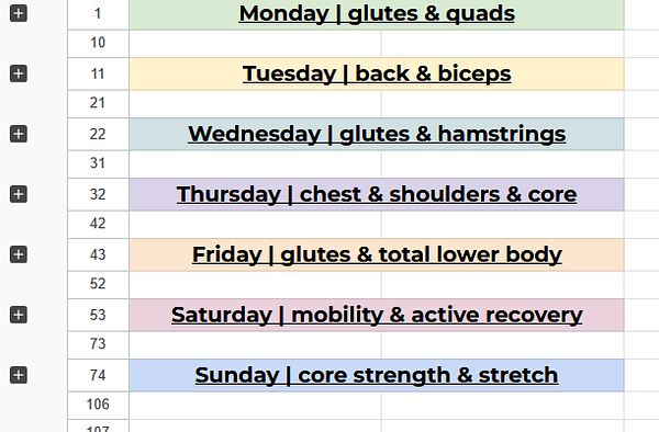 A weekly workout schedule outlining specific muscle groups targeted each day.