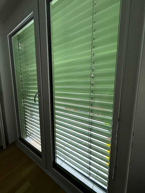 The image depicts closed green blinds on large windows, suggesting an effort to block out sunlight.