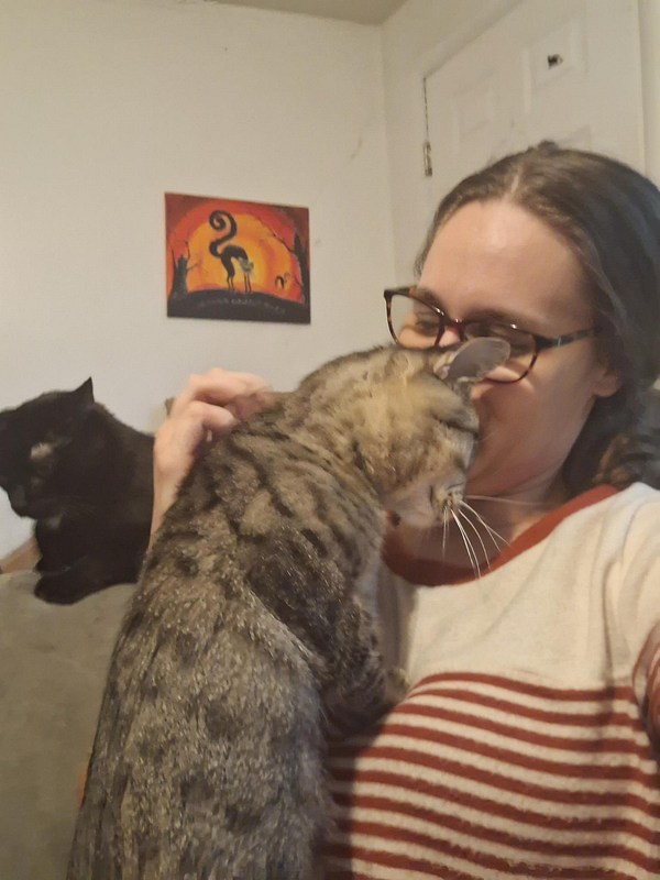 A person enjoys a close moment with their cat while another cat is seen in the background.