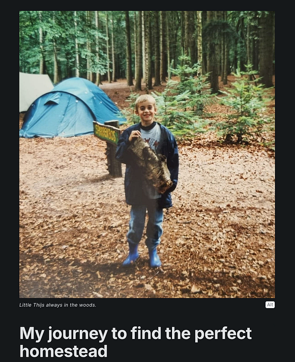 A young boy stands in a forest holding a piece of wood, with a blue tent and a sign in the background.