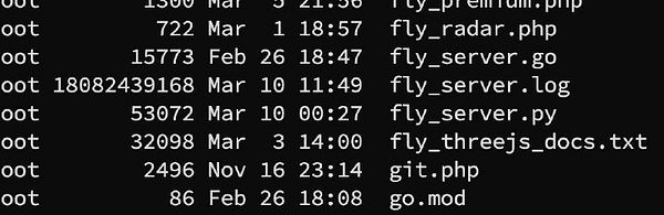 The image displays a terminal output listing various files in a directory along with their sizes and timestamps.