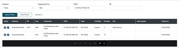 The image displays a table of filtered financial records with various details.