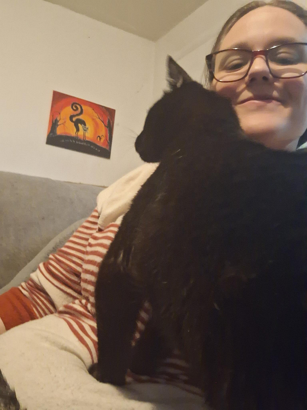 A person is enjoying a cozy moment with a black cat on their lap.
