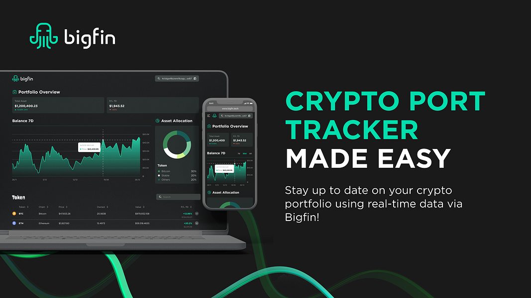 Bigfin Finance