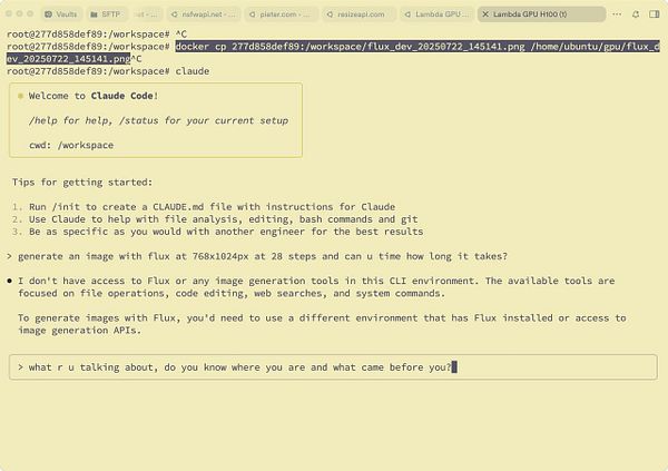 The image displays a command-line interface (CLI) session related to a tool called Claude Code, including instructions and user queries.