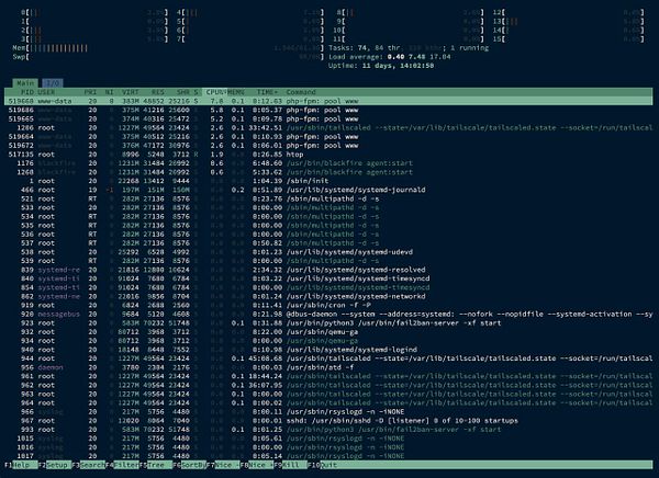 The image displays a terminal interface showing system processes and resource usage.