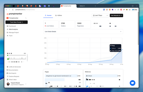 The image displays a web analytics dashboard for Promptmonitor, showing visitor statistics and traffic trends.