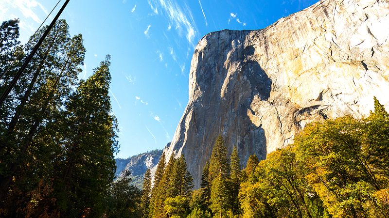 Screenshot of Fishing Haven