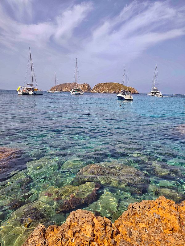 Photo of a snorkeler's hand wearing a black glove holding a water snorkel next to a rocky underwater area with greenery.