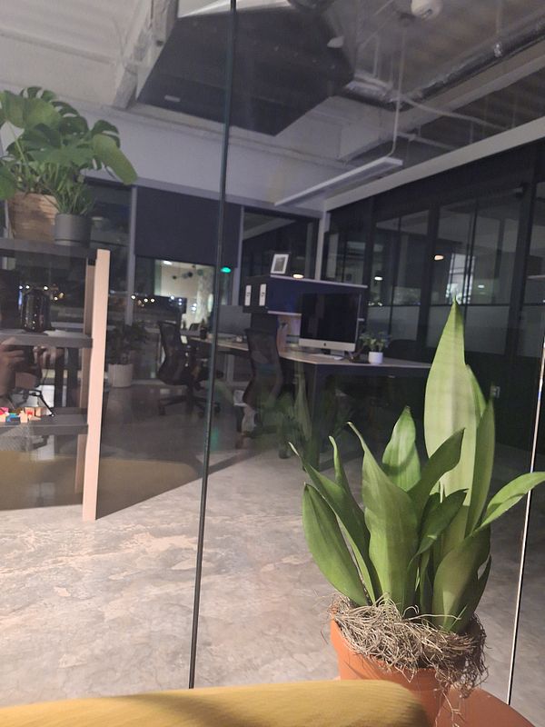 A quiet coworking space with plants and empty desks.