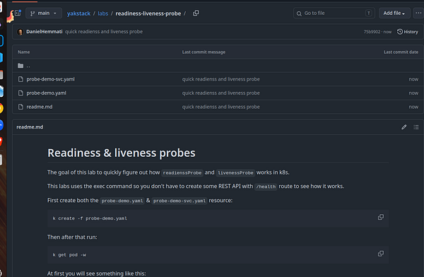 Screenshot of Kubernetes pod status and readiness/liveness probes details in a terminal window.