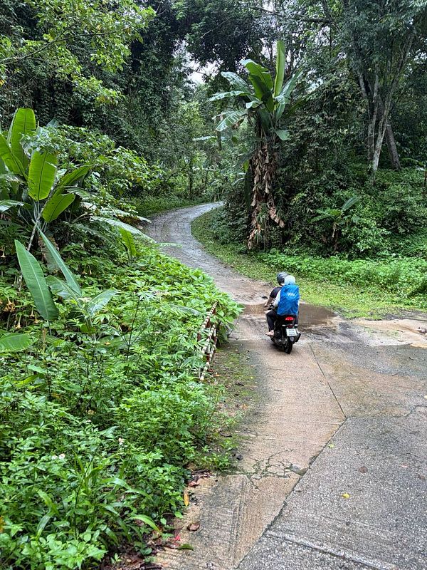 A person riding a motorcycle on a rugged jungle trail surrounded by dense greenery and rocky terrain.