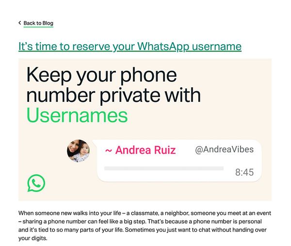 Screenshot of a WhatsApp username reservation interface with usage terms and a 'Reserve' button.