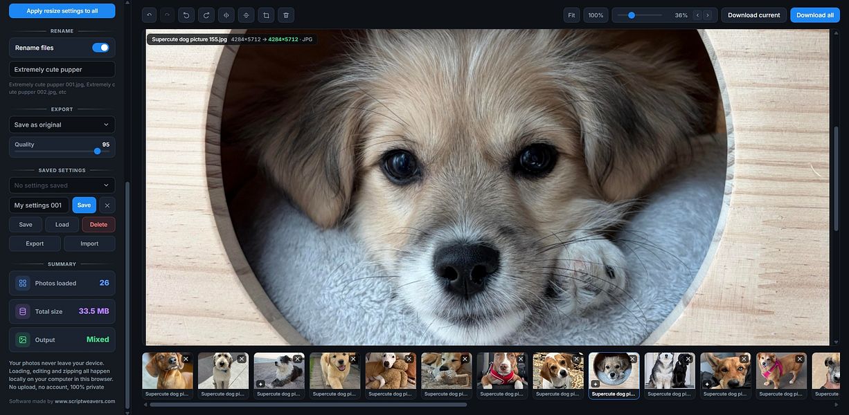 Bulk Photo Editor