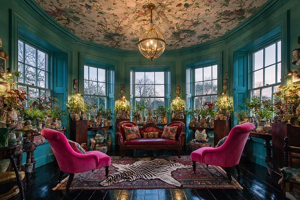 A dramatic sunroom with teal-paneled walls, large multi-pane windows, and a floral-painted ceiling centered by a brass globe chandelier. The room is filled with plants on side tables and shelves, anchored by a burgundy settee, two hot pink velvet chairs, layered patterned rugs, and a zebra hide accent in the middle.