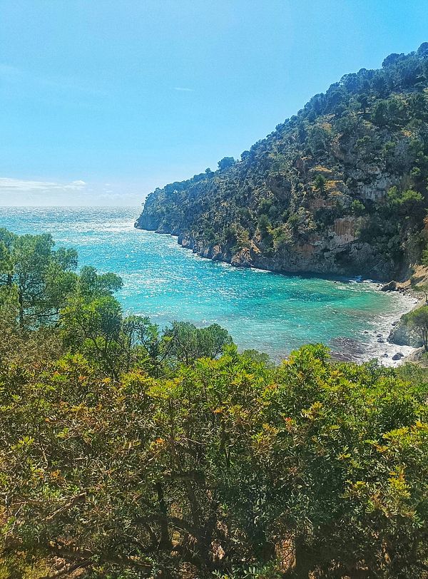 A scenic coastal view featuring turquoise waters and lush greenery.