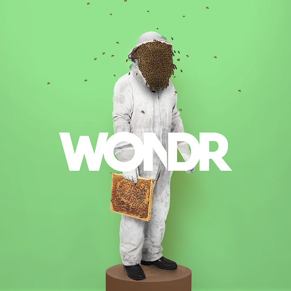 WONDR