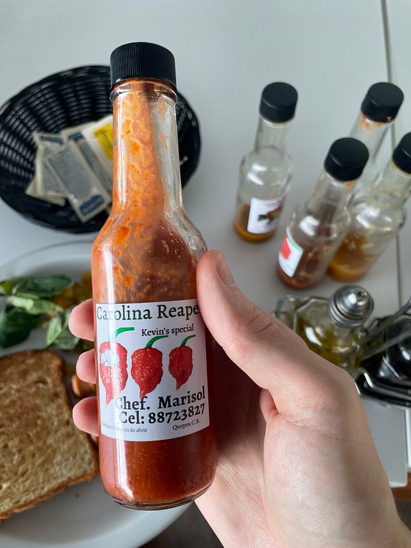 Close-up of a single Carolina Reaper chili pepper on a wooden surface.