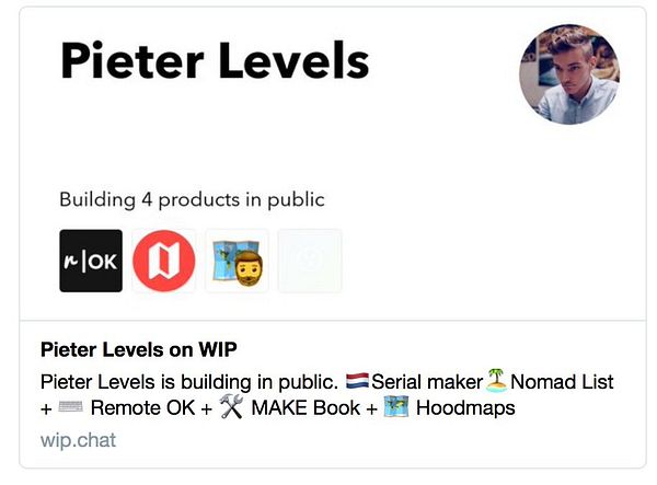 A social media profile card for Pieter Levels showcasing his projects and personal branding.